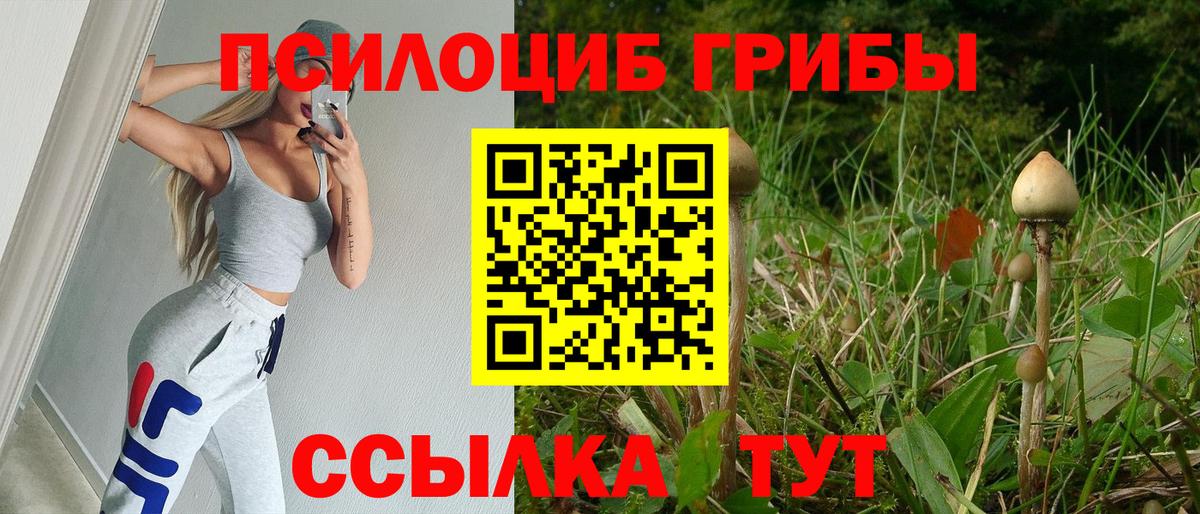 Псилоцибиновые грибы GOLDEN TEACHER  Вход с VPN  Алексин 