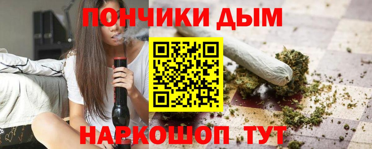 Бошки марихуана план  Канабис OG Kush  Канабис сатива  Вход с VPN  Канабис семена  Алексин 